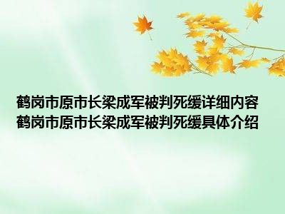 鹤岗市原市长梁成军被判死缓详细内容 鹤岗市原市长梁成军被判死缓具体介绍