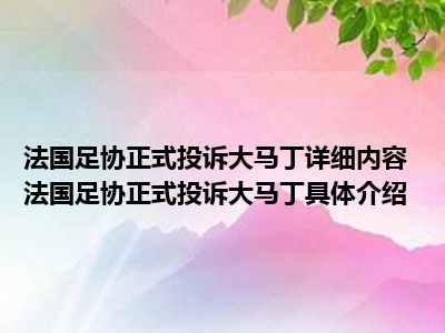 法国足协正式投诉大马丁详细内容 法国足协正式投诉大马丁具体介绍