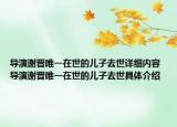 导演谢晋唯一在世的儿子去世详细内容 导演谢晋唯一在世的儿子去世具体介绍