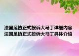 法国足协正式投诉大马丁详细内容 法国足协正式投诉大马丁具体介绍