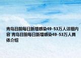 青岛目前每日新增感染49-53万人详细内容 青岛目前每日新增感染49-53万人具体介绍