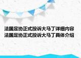 法国足协正式投诉大马丁详细内容 法国足协正式投诉大马丁具体介绍