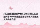 FIFA调查撒盐哥世界杯决赛违规入场详细内容 FIFA调查撒盐哥世界杯决赛违规入场具体介绍