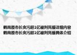 鹤岗原市长贪污超1亿被判死缓详细内容 鹤岗原市长贪污超1亿被判死缓具体介绍