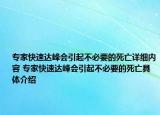 专家快速达峰会引起不必要的死亡详细内容 专家快速达峰会引起不必要的死亡具体介绍