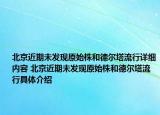 北京近期未发现原始株和德尔塔流行详细内容 北京近期未发现原始株和德尔塔流行具体介绍