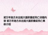 梁万年地方未出现大面积重症死亡详细内容 梁万年地方未出现大面积重症死亡具体介绍