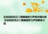 足协回应武汉三镇黑暗势力声明详细内容 足协回应武汉三镇黑暗势力声明具体介绍