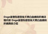 Doge表情包原型柴犬患白血病和肝病详细内容 Doge表情包原型柴犬患白血病和肝病具体介绍
