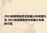 2023央视春晚首支歌曲公布详细内容 2023央视春晚首支歌曲公布具体介绍