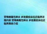 警惕病毒性肺炎 多地重症床位近临界详细内容 警惕病毒性肺炎 多地重症床位近临界具体介绍