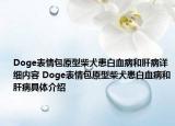 Doge表情包原型柴犬患白血病和肝病详细内容 Doge表情包原型柴犬患白血病和肝病具体介绍