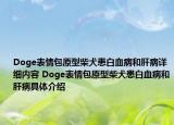 Doge表情包原型柴犬患白血病和肝病详细内容 Doge表情包原型柴犬患白血病和肝病具体介绍
