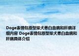Doge表情包原型柴犬患白血病和肝病详细内容 Doge表情包原型柴犬患白血病和肝病具体介绍