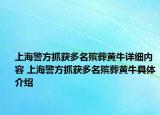上海警方抓获多名殡葬黄牛详细内容 上海警方抓获多名殡葬黄牛具体介绍