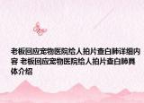 老板回应宠物医院给人拍片查白肺详细内容 老板回应宠物医院给人拍片查白肺具体介绍