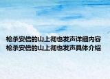 枪杀安倍的山上彻也发声详细内容 枪杀安倍的山上彻也发声具体介绍