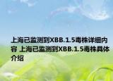 上海已监测到XBB.1.5毒株详细内容 上海已监测到XBB.1.5毒株具体介绍