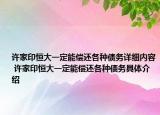 许家印恒大一定能偿还各种债务详细内容 许家印恒大一定能偿还各种债务具体介绍