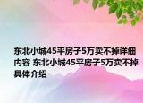 东北小城45平房子5万卖不掉详细内容 东北小城45平房子5万卖不掉具体介绍