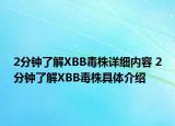 2分钟了解XBB毒株详细内容 2分钟了解XBB毒株具体介绍