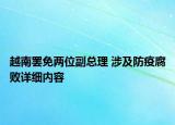 越南罢免两位副总理 涉及防疫腐败详细内容