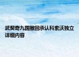 武契奇九国撤回承认科索沃独立详细内容