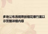 多地公布违规燃放烟花爆竹案以示警醒详细内容