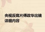 央视反腐片傅政华出镜详细内容