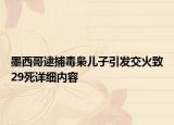 墨西哥逮捕毒枭儿子引发交火致29死详细内容