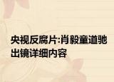 央视反腐片:肖毅童道驰出镜详细内容