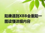 阳康遇到XBB会重阳一图读懂详细内容