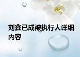 刘鑫已成被执行人详细内容