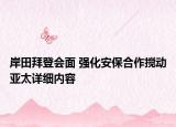 岸田拜登会面 强化安保合作搅动亚太详细内容