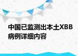 中国已监测出本土XBB病例详细内容