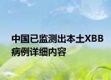 中国已监测出本土XBB病例详细内容