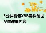 5分钟看懂XBB毒株前世今生详细内容