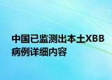 中国已监测出本土XBB病例详细内容