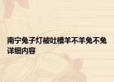 南宁兔子灯被吐槽羊不羊兔不兔详细内容