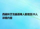 西藏林芝雪崩遇难人数增至20人详细内容