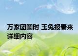 万家团圆时 玉兔报春来详细内容