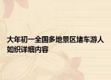 大年初一全国多地景区堵车游人如织详细内容
