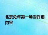 北京兔年第一场雪详细内容