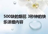 500块的烟花 3秒钟的快乐详细内容