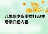 儿媳除夕夜用棍打83岁母亲详细内容