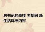 总书记的牵挂 老胡同 新生活详细内容