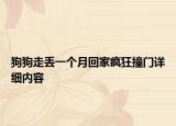 狗狗走丢一个月回家疯狂撞门详细内容