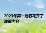 2023年第一批春花开了详细内容