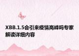 XBB.1.5会引来疫情高峰吗专家解读详细内容