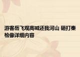 游客岳飞观高喊还我河山 砸打秦桧像详细内容